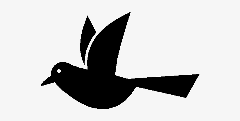01 Design 02 Design 03 Design - Hummingbird, transparent png download