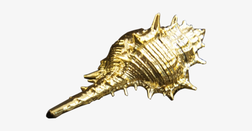 Spray On Gold Paint - Gold Seashell Png, transparent png download