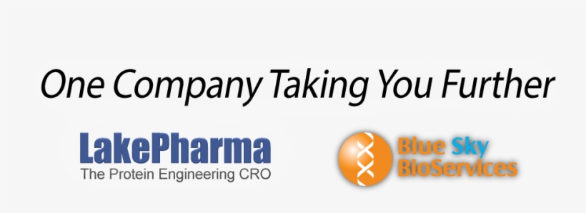 Lake Pharma W Text - Blauer Kreis, transparent png download