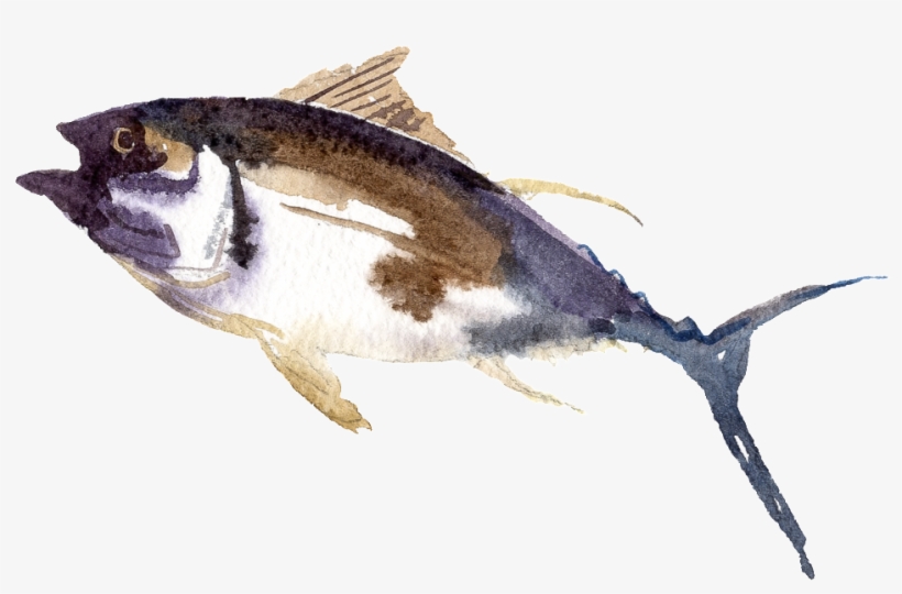 Black Watercolor Hand Drawn Fish Transparent - Fish, transparent png download
