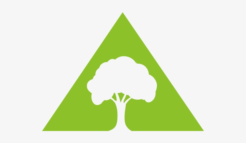 Tree & Stump Removal - Illustration, transparent png download