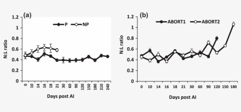 Lymphocyte Ratio In Pregnant (p), Non - Graphic Design, transparent png download