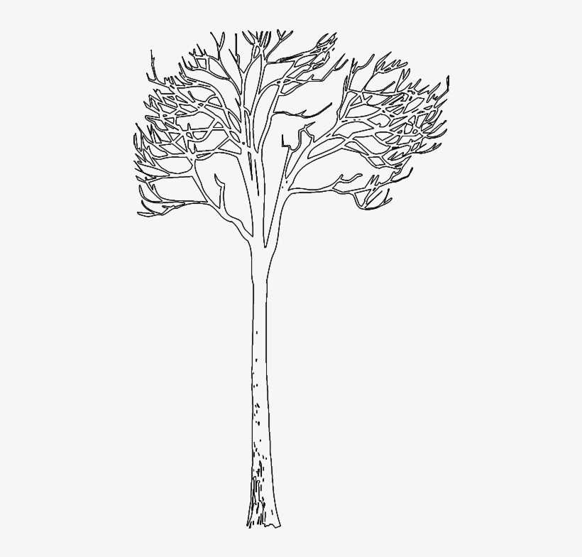 Line Art, transparent png download