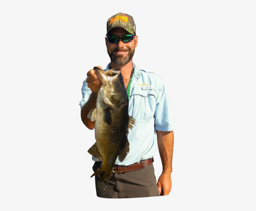 Lets Go Fishing - Pull Fish Out Of Water, transparent png download