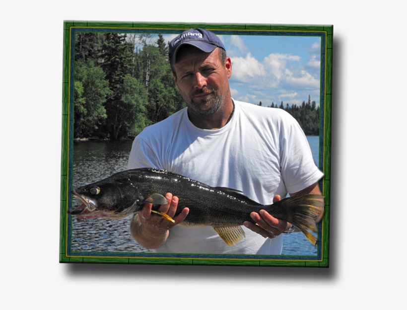 Welcome To Green Wilderness Lodge On Beautiful Lake - Green Wilderness Lodge, transparent png download