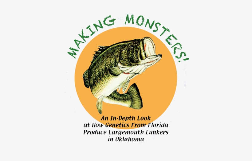 Series Details Efforts To Enhance Trophy Bass Fishing - Largemouth Bass, transparent png download
