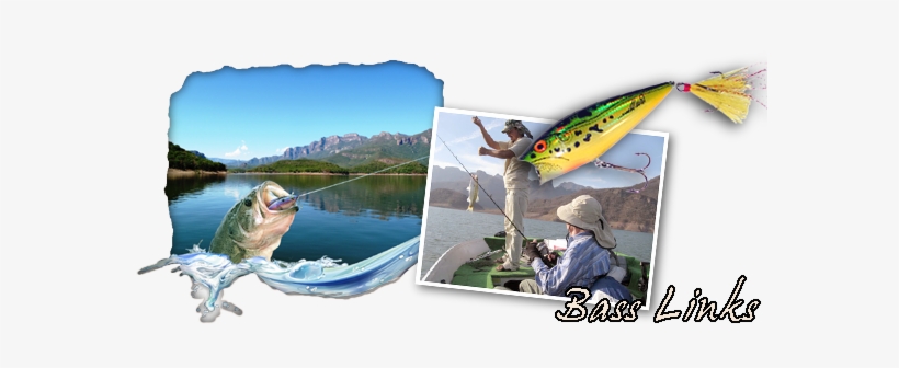 Largemouth Bass Fishing Links - Pull Fish Out Of Water, transparent png download