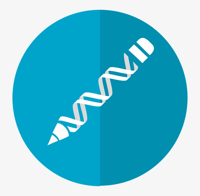 Blue Telephone Icon Vector, transparent png download