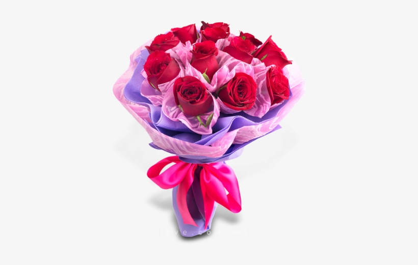 Love Rose Cuddles - Love Rose, transparent png download