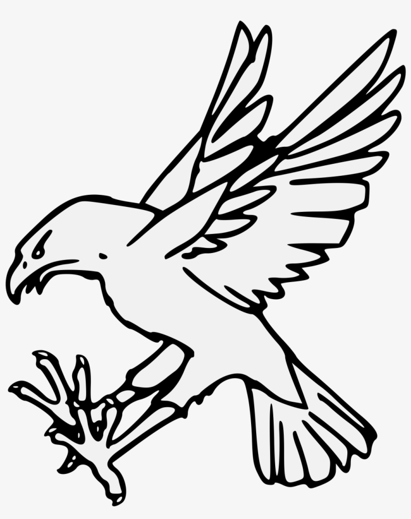 Details, Png - Eagle, transparent png download