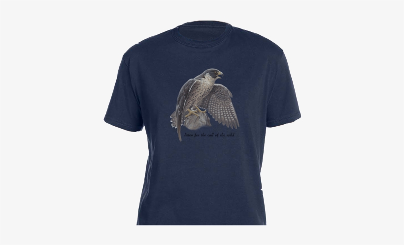 Peregrine Falcon - Hawk, transparent png download