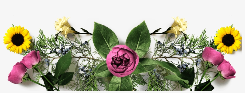 Real Flowers - Garden Roses, transparent png download