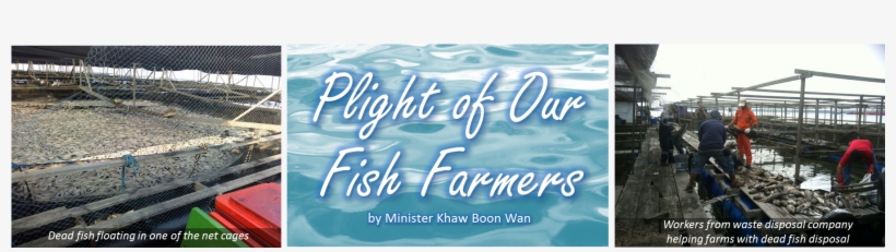 Plight Of Our Fish Farmers - Poster Hari Raya, transparent png download