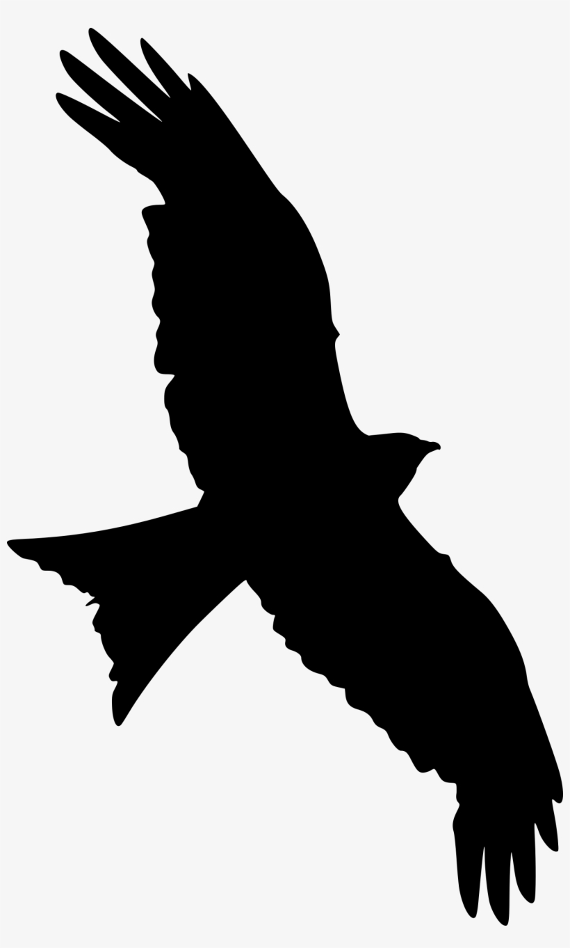 Falcon Silhouette At Getdrawings - Falcon Silhouette, transparent png download