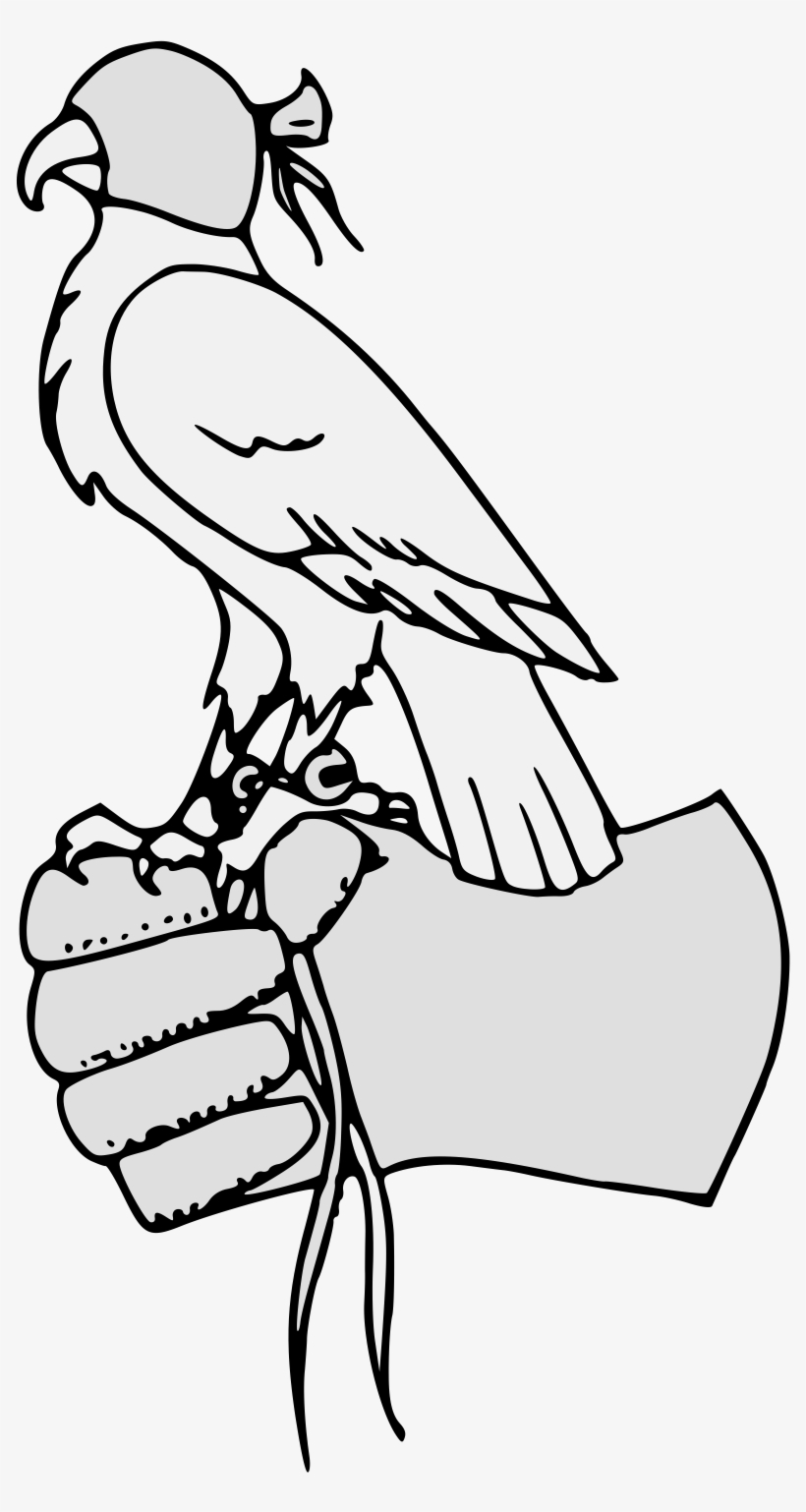 Details, Png - Parrot, transparent png download