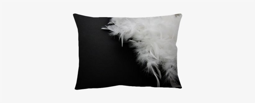 White Feather On Black Background - Feather, transparent png download