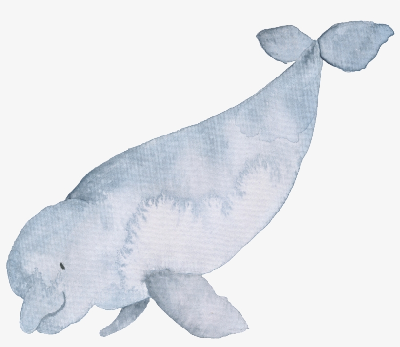 Gray Hand Drawn Dolphin Cartoon Watercolor Png - Whales, transparent png download