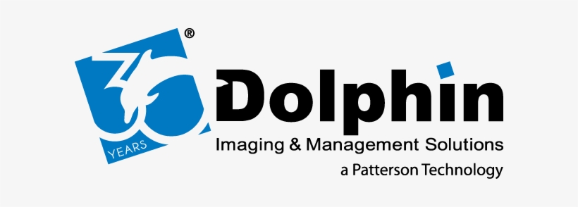 Contact - Dolphin Management, transparent png download