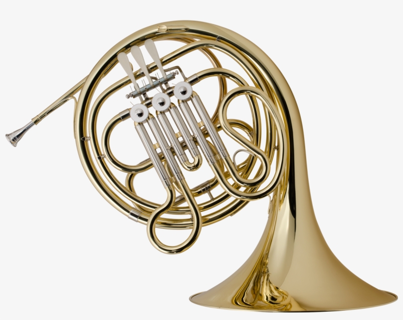 Download Holton Student Model H602 Single French Horn Single Horn