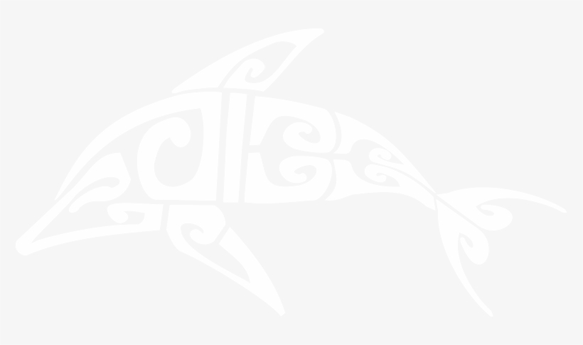 Hawaii Dolphin Swim - Oahu, transparent png download