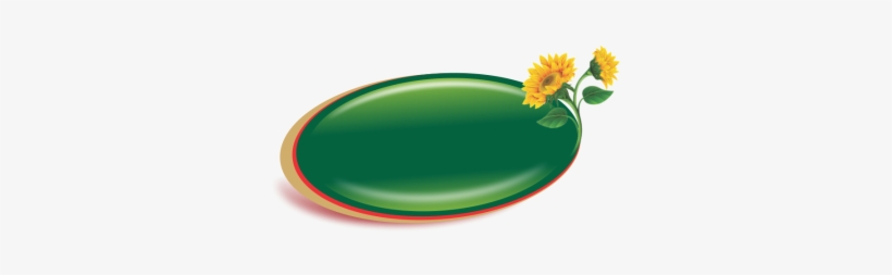 Sunflower Logo, Sunflower, Alternative, Rock Png And - Gerbera, transparent png download