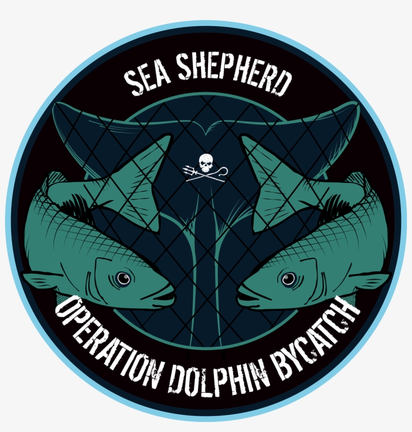 The Dirty Secret Of How France Exterminates Its Dolphins - Sea Shepherd, transparent png download