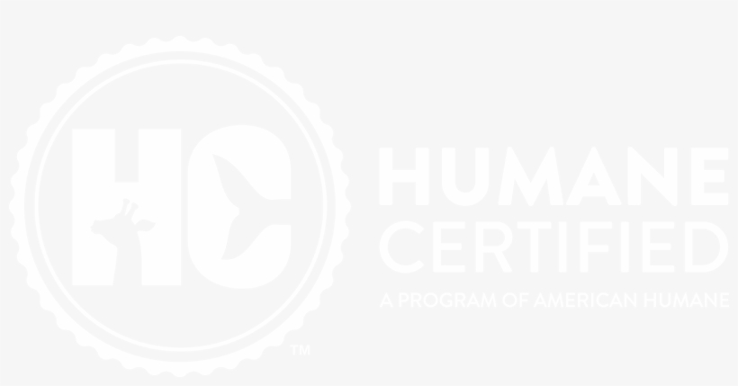 Make A Difference - Hypnosis, transparent png download