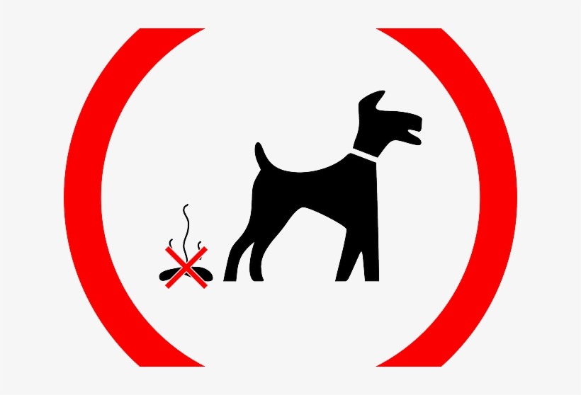 Of All The Offensive And Annoying Habits That Man's, transparent png download