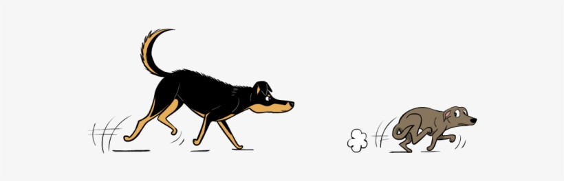 Bullying Dogs, transparent png download