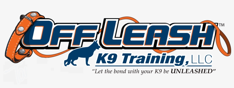 Chicago Offleash K9 Dog Training - Off Leash K9 Training, transparent png download