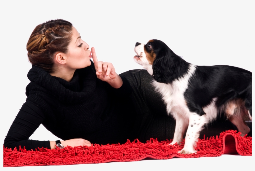 Bark Collars Keep The Peace - Хозяйка И Собак, transparent png download