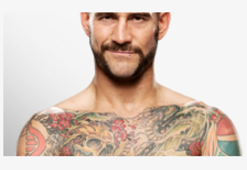 Wwe: Best Pay-per-view Matches Of Year 2013, transparent png download