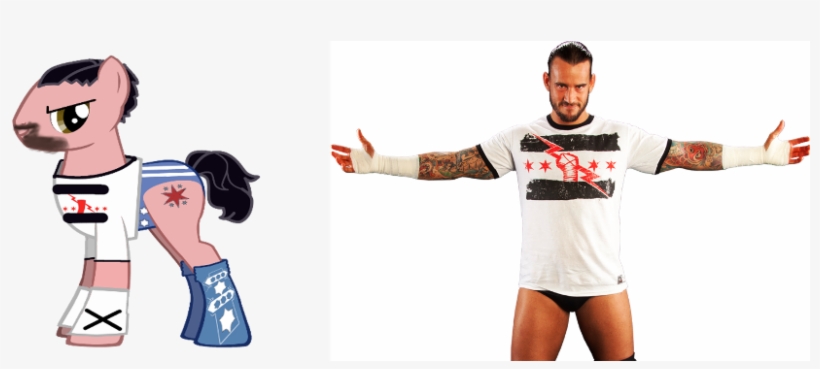 Cm Punk, Ponified, Safe, Wwe - Mlp Cm Punk, transparent png download