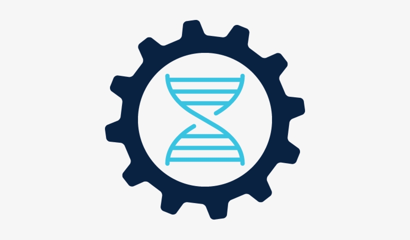 Check Out Our Available Tests - Icon, transparent png download