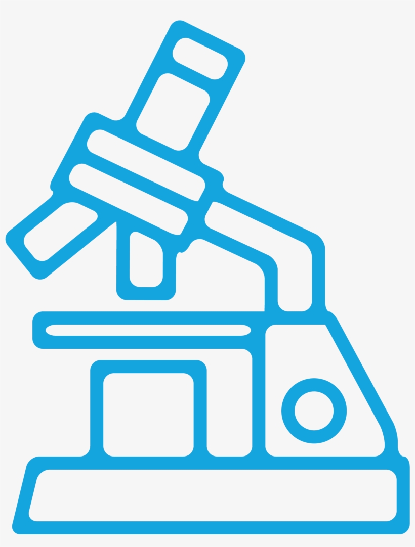 Supporting The Evolution Of The Ever-changing Life - Line, transparent png download