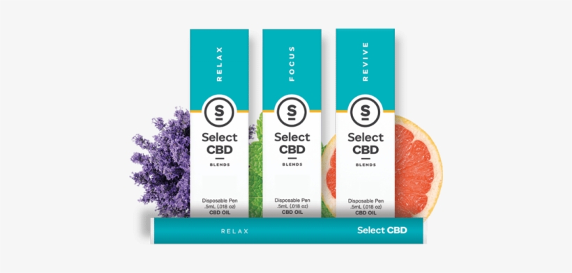 The Melting Pot World Emporium & Smoke Shop, Select - Live Fearlessly: A Study In The Book, transparent png download