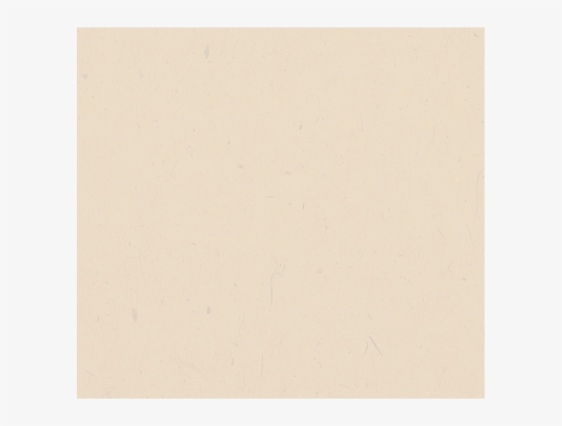 Skin Texture - Animal, transparent png download