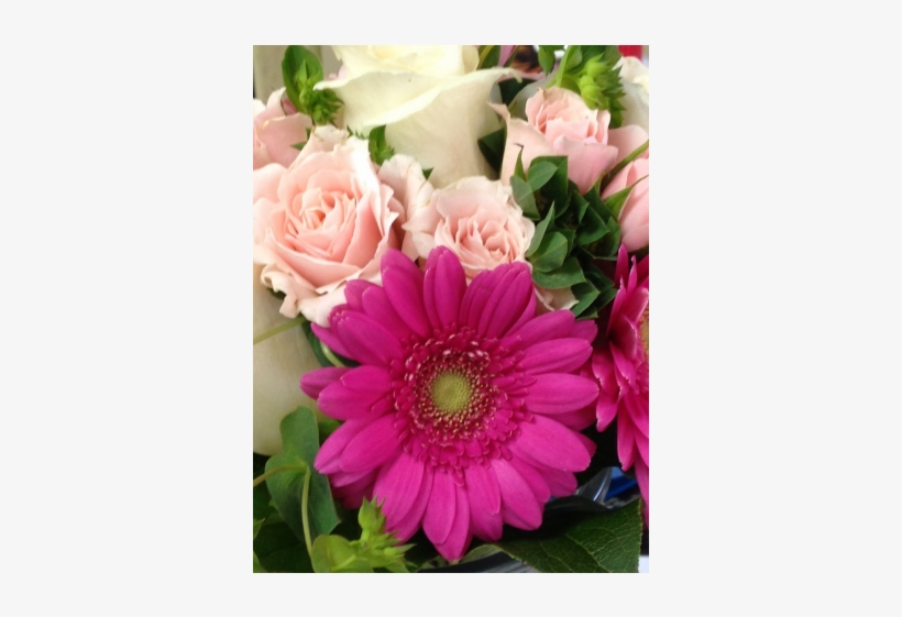 Hot Pink Gerber Daisies, Pink Spray Roses, White Roses - Newtown Floral Company, transparent png download