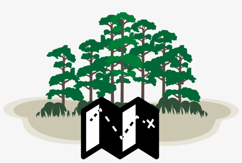 Burn Plan Blank Crest Png, transparent png download