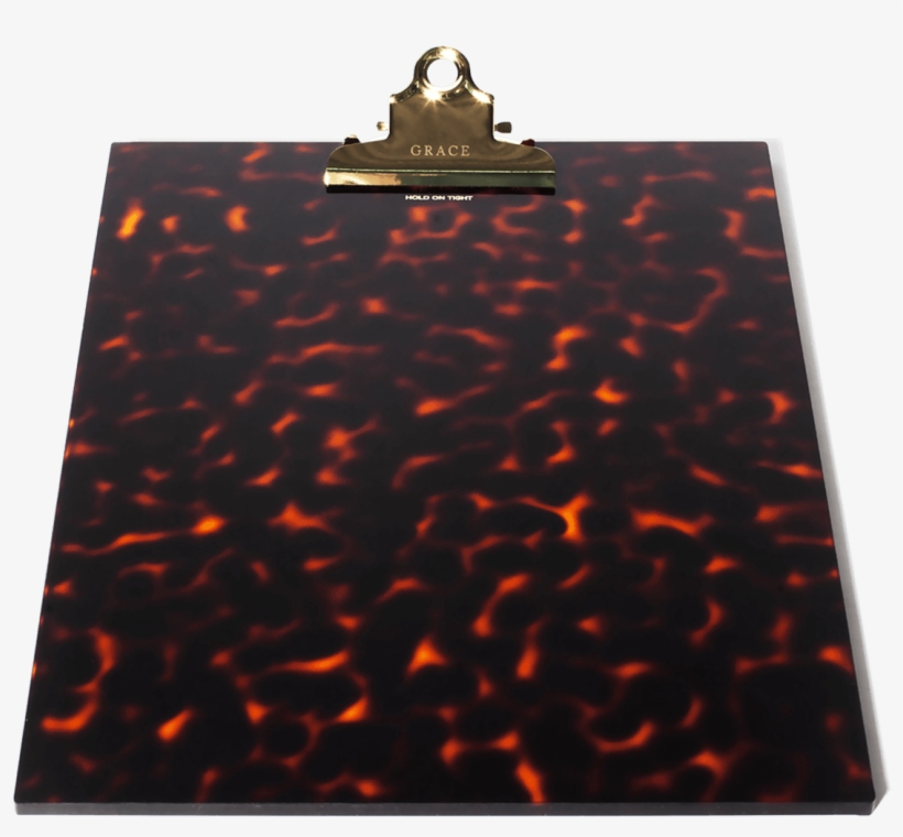 Tortoise, transparent png download