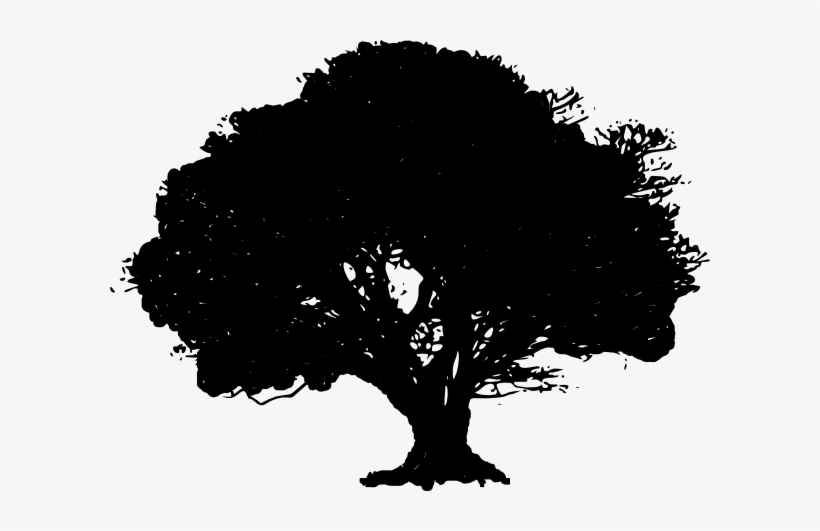 Old Oak Clip Art At Clker - Oak Tree Silhouette Png, transparent png download