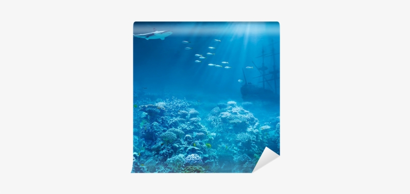 Sea Or Ocean Underwater With Shark And Sunk Treasures - Poetry On Moral Values, transparent png download