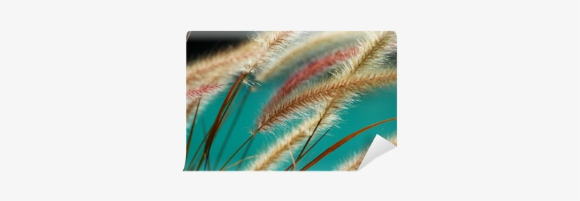 Fountain, transparent png download