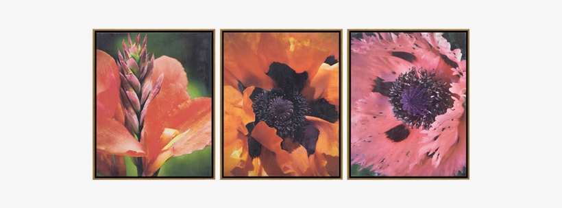 Florals I Pk/3 - Pre-kindergarten, transparent png download