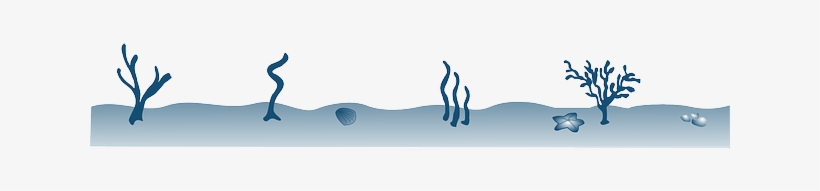 Corals, Underwater, Algae, Ecosystem, Ocean Floor - Ocean Floor Png, transparent png download