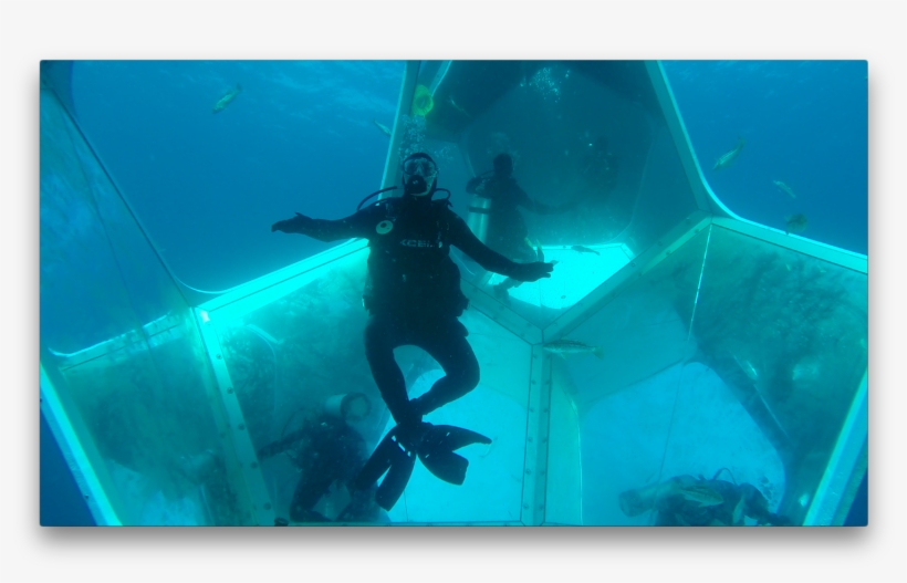 Underwater Art Installation Opens Near Catalina Coast - Catalina Underwater Art, transparent png download