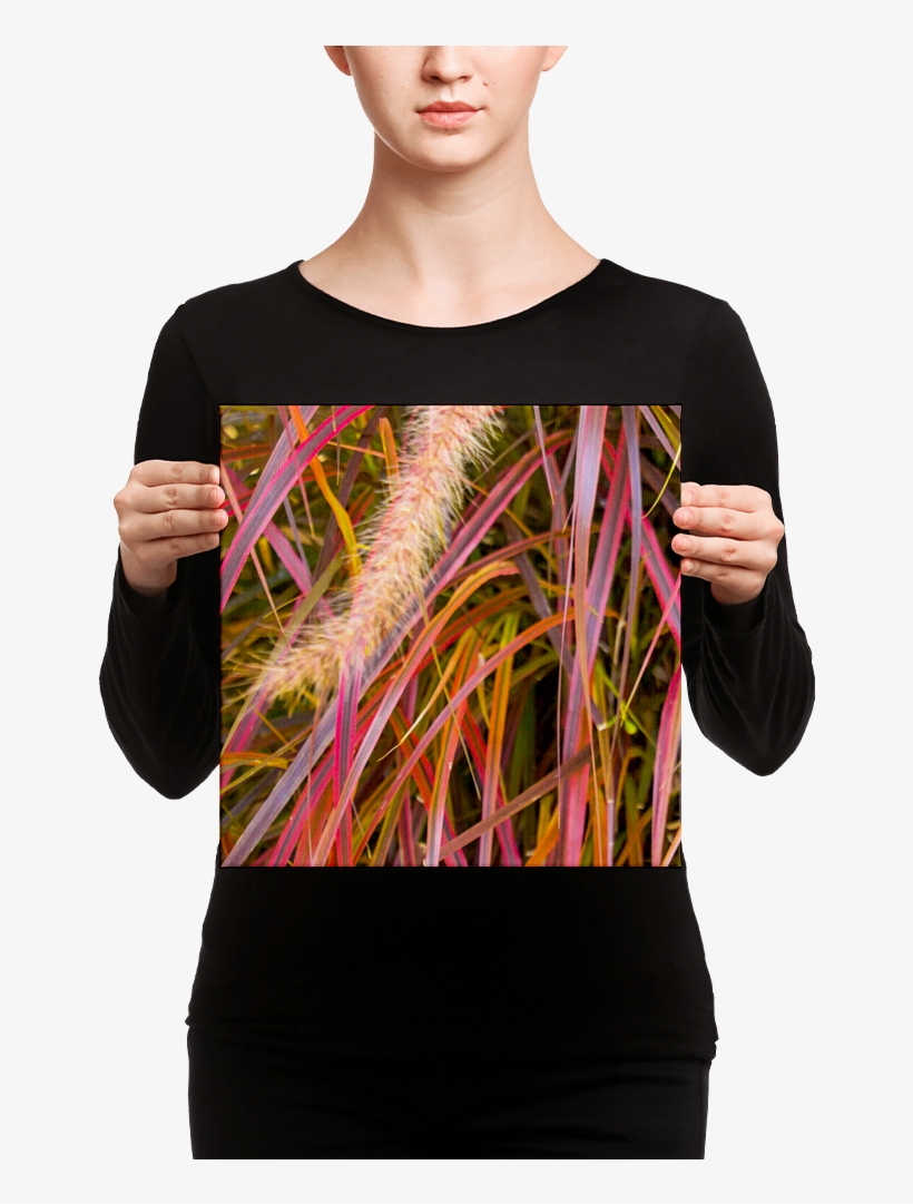 Lankershim Village Fountain Grass On Canvas - Black Mask Red Pied French Bulldog Canvas, transparent png download