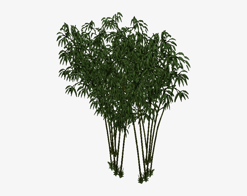 Fountain Bamboo - Wiki, transparent png download