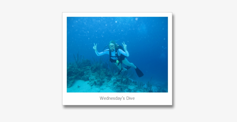 What Lies Beneath - Scuba Diving, transparent png download