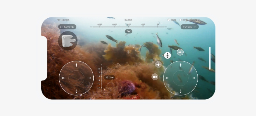 Download High Resolution Image - Underwater, transparent png download